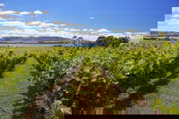 Riversdale Estate Cottages