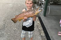 Eildon Pondage Holiday Park