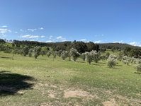 Hunter Homestead