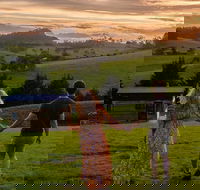 Tilba Lake Pods - Click Find