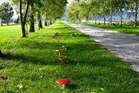 Business in Lilydale TAS Click Find Click Find