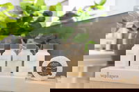 BOUTIQUE STAYS - Elwood Hideaway