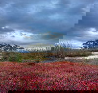 Saintys Creek Cottage - Click Find
