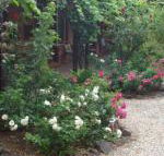 Maldons Eaglehawk Motel - Click Find