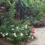 Maldons Eaglehawk Motel