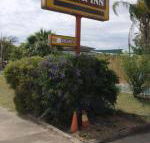 Golden West Motor Inn - Click Find