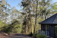 Barrington Tops Nest