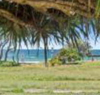 Pandanus on Emerald - Bet 4u