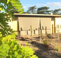 Tread Harcourt - Bet 4u