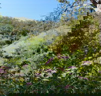 Copeland Manse - Bridge Guide