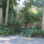Avoca Park