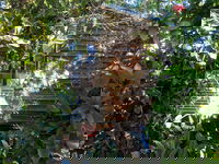 Rain Forest Gem