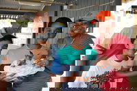 Holiday Haven Burrill Lake