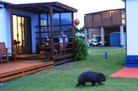 Business in Kelso TAS Click Find Click Find
