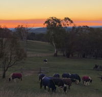 High Country Trail Rides  Farm Stay - Click Find