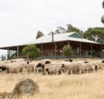 Gilgraves Vineyard Farmstay - Bet 4u