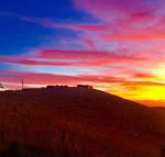 One Tree Hill - DBD