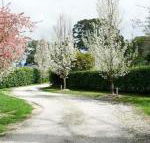 Robin Hill Manor rambling retreat  tennis court - Bet 4u