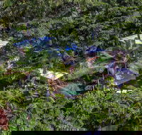 Unique Tropical Rainforest Getaway - Click Find