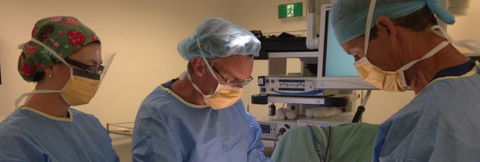 Coffs Harbour Surgical - Click Find 2