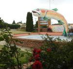 Big Trout Motel - Click Find