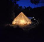 Glamping at Zeehan Bush Camp - Click Find