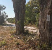 COONARR BEACH  BUNDABERG CAMPING - DBD