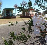 Lanis on the Beach - Old Bar - Click Find