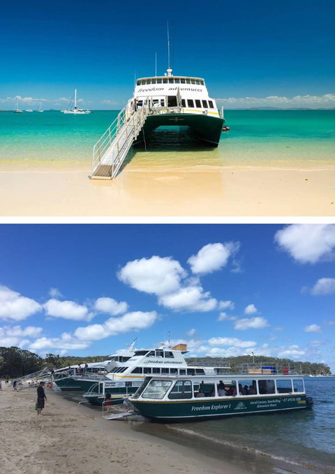 Max Allen Cruises - Bet 4u 0