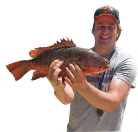 Noosa Fishing & Crab Adventures - Click Find 0