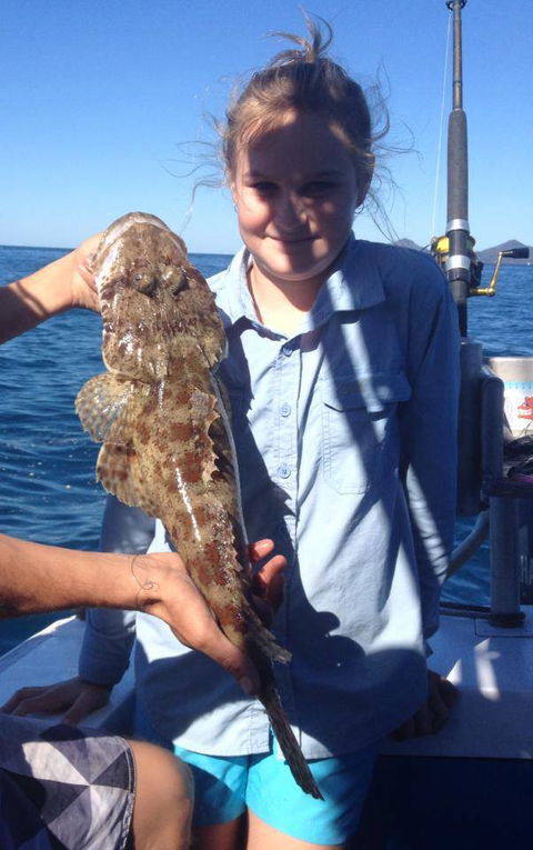 Whitsunday Fishing Charters - Bridge Guide 1