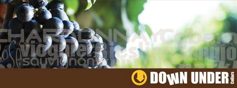 Down Under Cellars - Bridge Guide 1