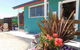 Little Ladybird Plant Nursery - thumb 4