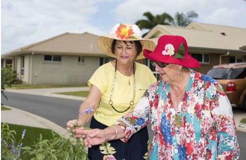 Palmview Village - Click Find 0