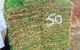 Richmond Sand, Gravel & Landscaping - thumb 6