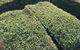 Richmond Sand, Gravel & Landscaping - thumb 7