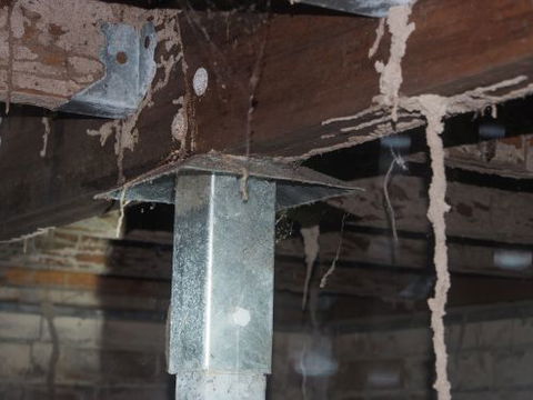 Bundaberg Building & Pest Inspections - Lawyer Find 1