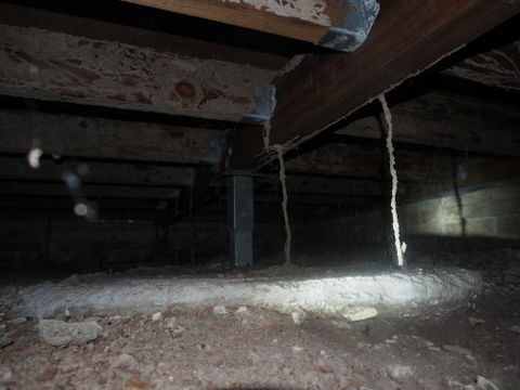 Bundaberg Building & Pest Inspections - Lawyer Find 2