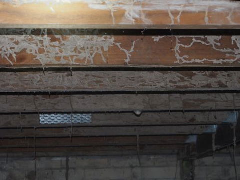 Bundaberg Building & Pest Inspections - Lawyer Find 4