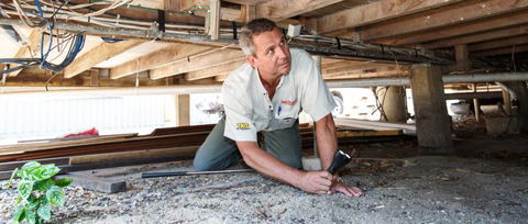 NQ Building & Pest Reports Pty Ltd - Click Find 4