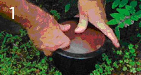 Adept Integrated Pest Solutions - Bridge Guide 1