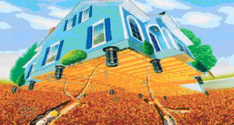 Adept Integrated Pest Solutions - Bridge Guide 2