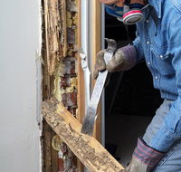 Coalfields Pest Control - Click Find