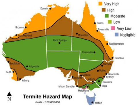 Flexible Termite Solutions - DBD 0