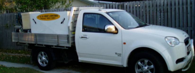 Pest Control Andergrove QLD Click Find