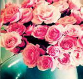 Amor Wedding Stylists  Decorators - Click Find