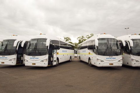 Buslink VIVO - Click Find 0