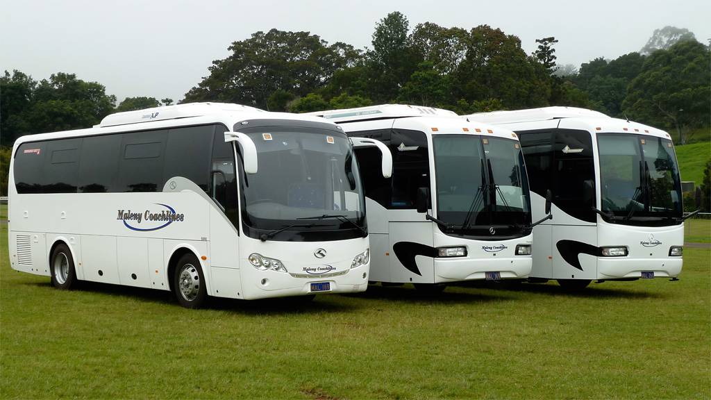 Adventure Holidays Tours Maleny QLD Click Find