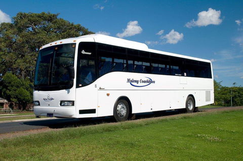 Maleny Coachlines - Click Find 3