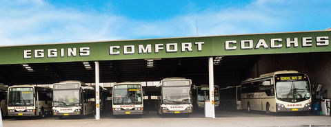 Eggins Comfort Coaches - DBD 1